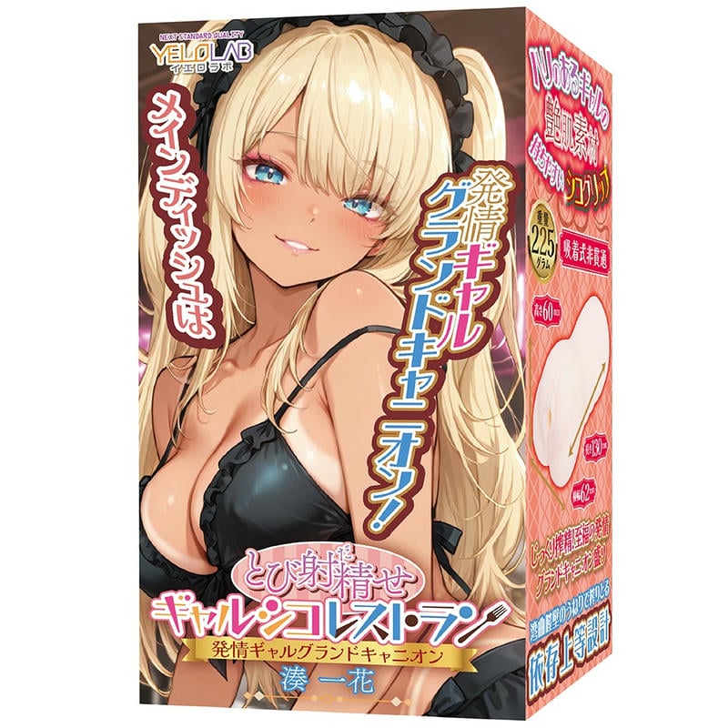 とび射精せ ギャルシコレストラン 発情グランドキャニオン 湊一花