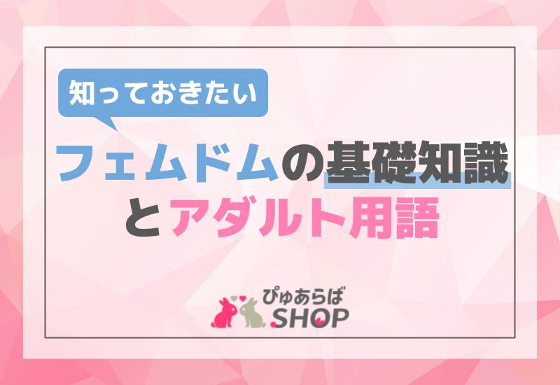 知っておきたいフェムドムの基礎知識とアダルト用語