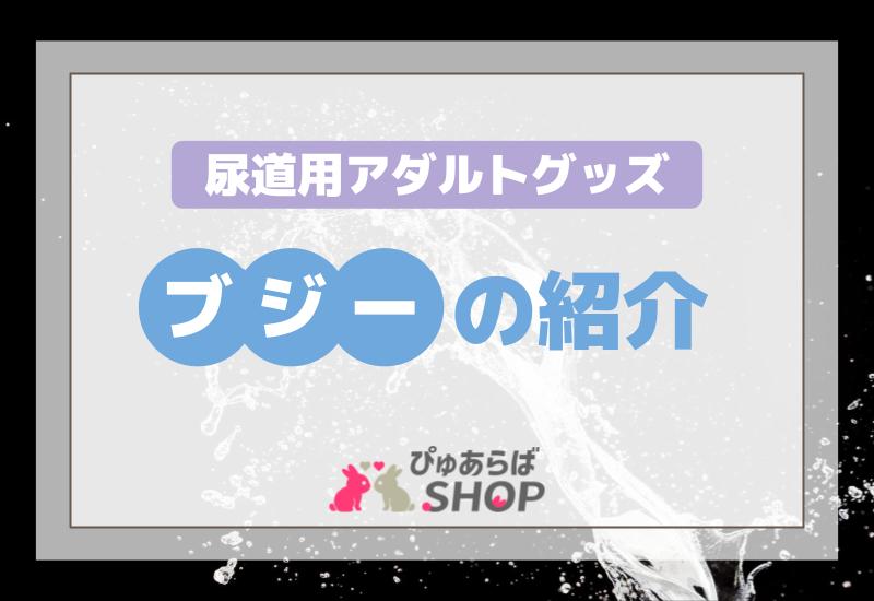 尿道用アダルトグッズブジーの紹介