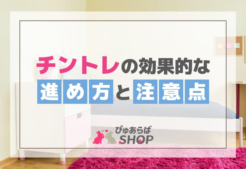 チントレの効果的な進め方と注意点