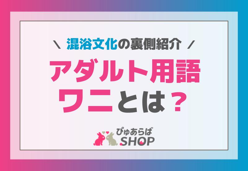 アダルト用語「ワニ」とは？混浴文化の裏側紹介
