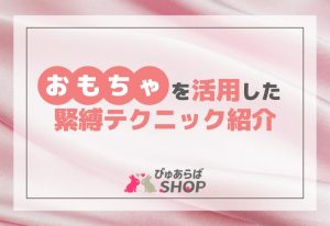 おもちゃを活用した緊縛テクニック紹介