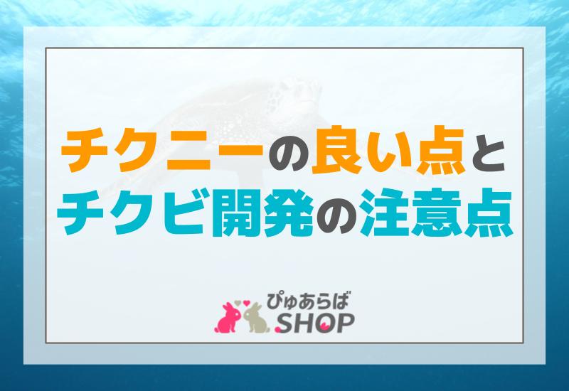 チクニーの良い点とチクビ開発の注意点