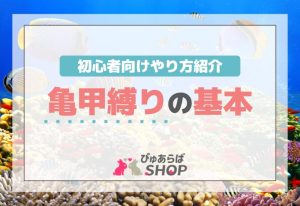 亀甲縛りの基本！初心者向けやり方紹介
