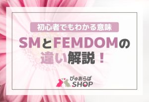 SMとFEMDOMの違い解説！初心者でもわかる意味