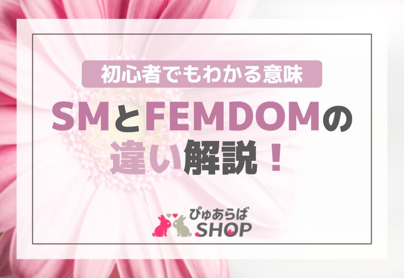 SMとFEMDOMの違い解説！初心者でもわかる意味