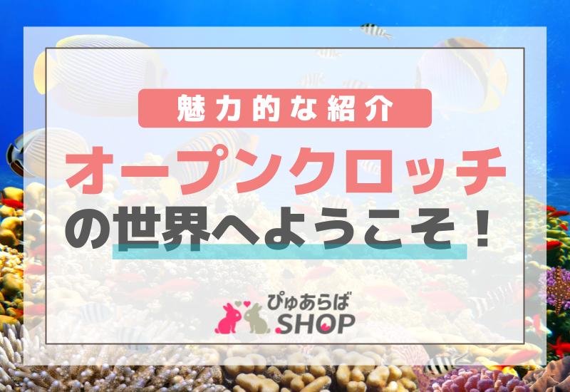 オープンクロッチの世界へようこそ！魅力的な紹介
