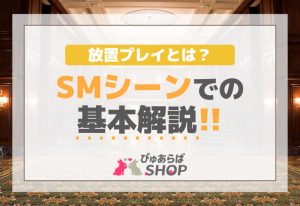 放置プレイとは？SMシーンでの基本解説