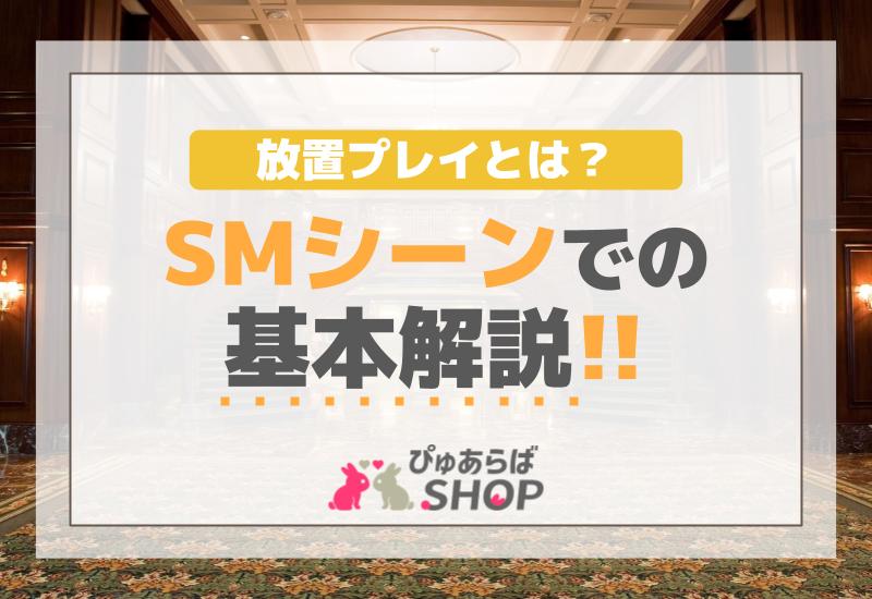 放置プレイとは？SMシーンでの基本解説