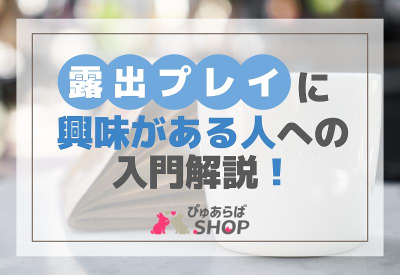 露出プレイに興味がある人への入門解説