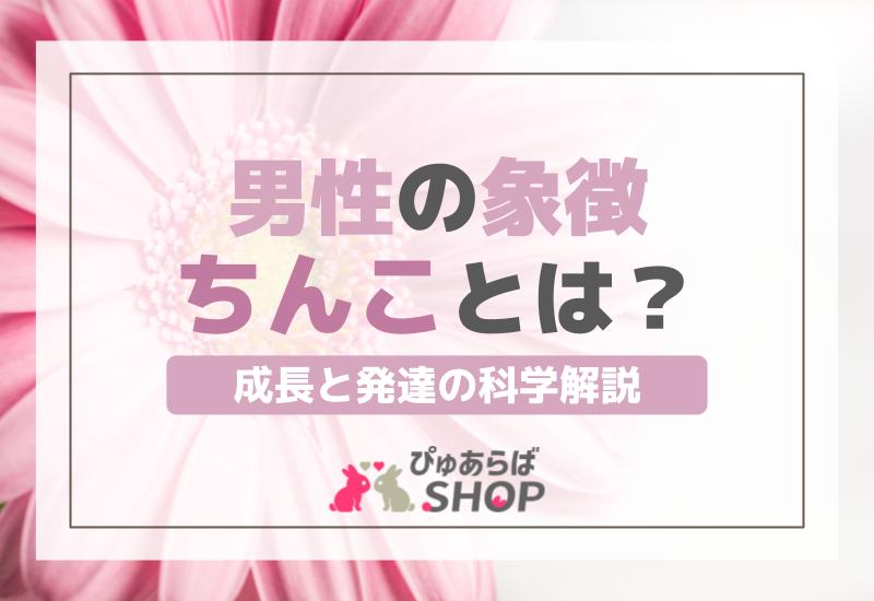 男性の象徴「ちんこ」とは？成長と発達の科学解説