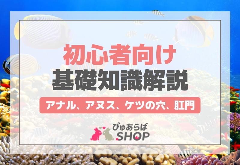 「アナル アヌス、ケツの穴、肛門」初心者向け基礎知識解説