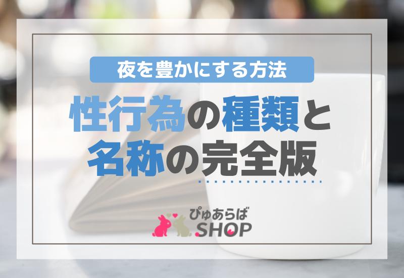 性行為の種類・名称 完全版：夜を豊かにする方法