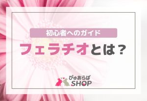 フェラチオ（フェラ）とは？初心者へのガイド
