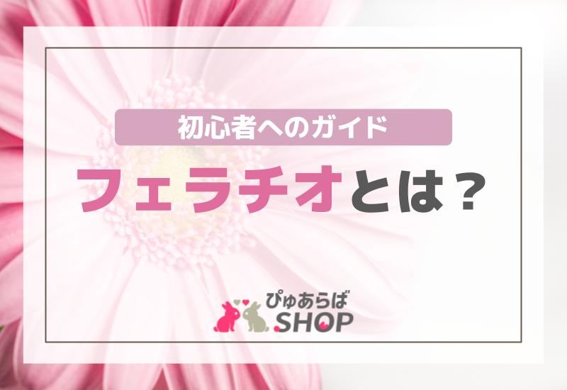 フェラチオ（フェラ）とは？初心者へのガイド