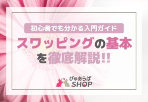 スワッピングの基本を徹底解説！初心者でも分かる入門ガイド