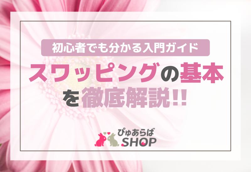 スワッピングの基本を徹底解説！初心者でも分かる入門ガイド