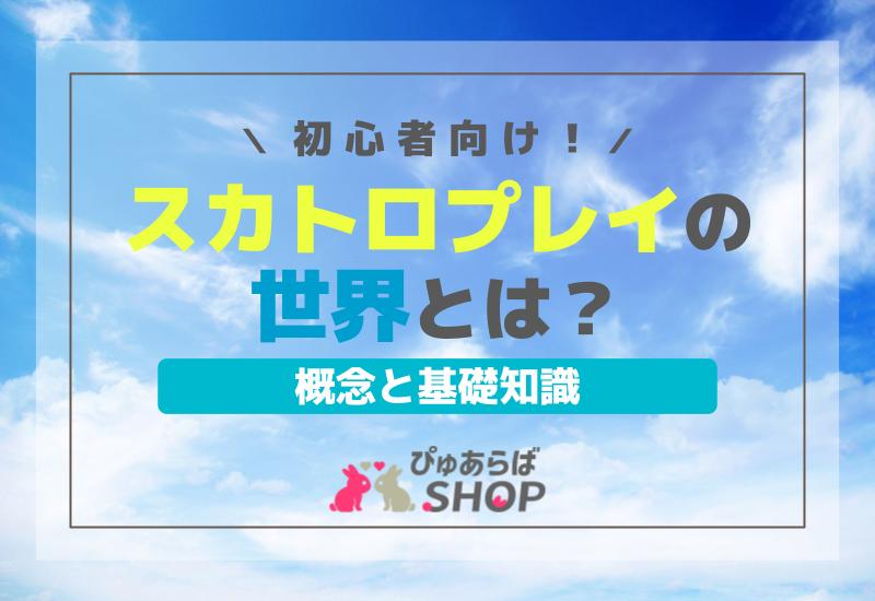 初心者向けスカトロプレイの世界とは？概念と基礎知識