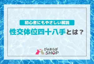 性交体位（体位）四十八手とは？初心者にもやさしい解説