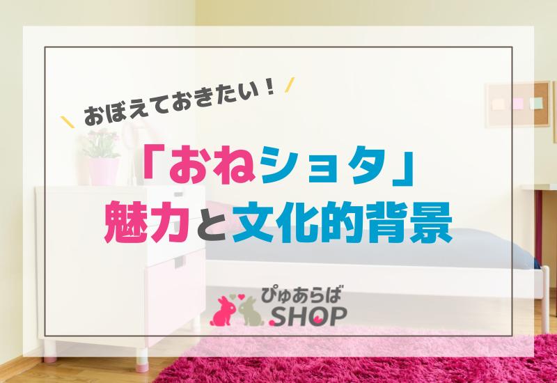 おぼえておきたい「おねショタ」の魅力と文化的背景の解説