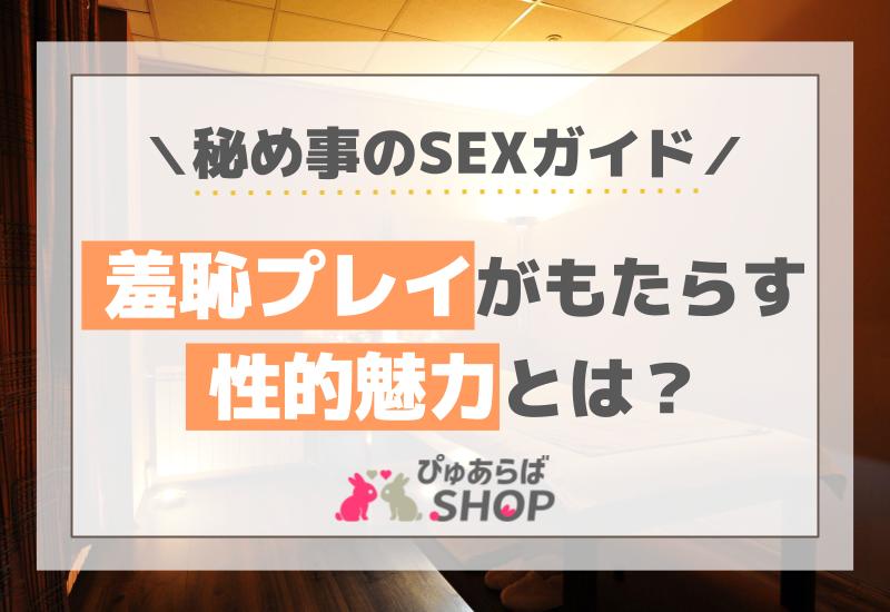 羞恥プレイがもたらす性的魅力とは？秘め事のSEXガイド