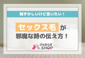 恥ずかしいけど言いたい！セックス毛が邪魔な時の伝え方