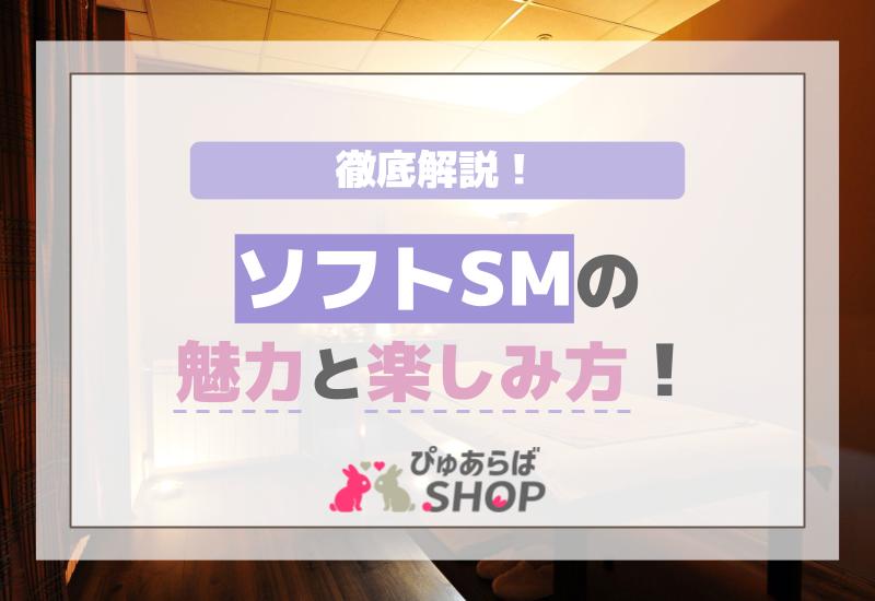 ソフトSMの魅力と楽しみ方を徹底解説！
