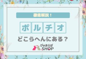 ポルチオどこらへんにあるのか徹底解説！