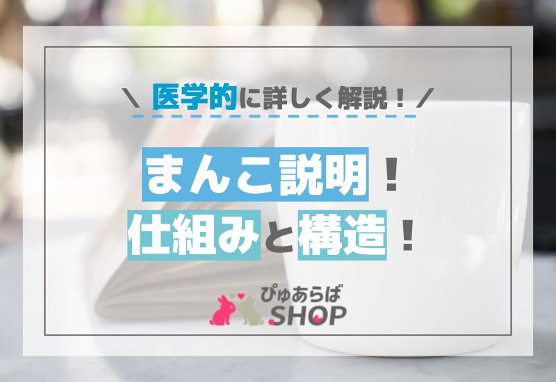 まんこ説明！仕組みと構造を医学的に詳しく解説！