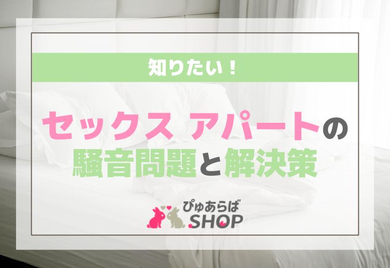 知りたい！セックスアパートの騒音問題と解決策