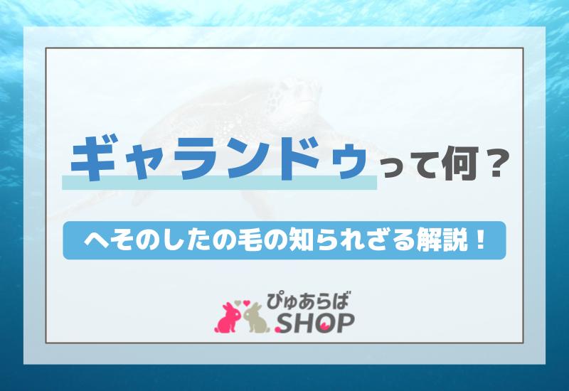 ギャランドゥって何？へそのしたの毛の知られざる解説！