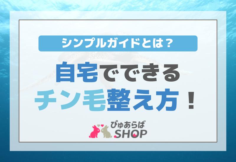 自宅でできるチン毛整え方！シンプルガイドとは？