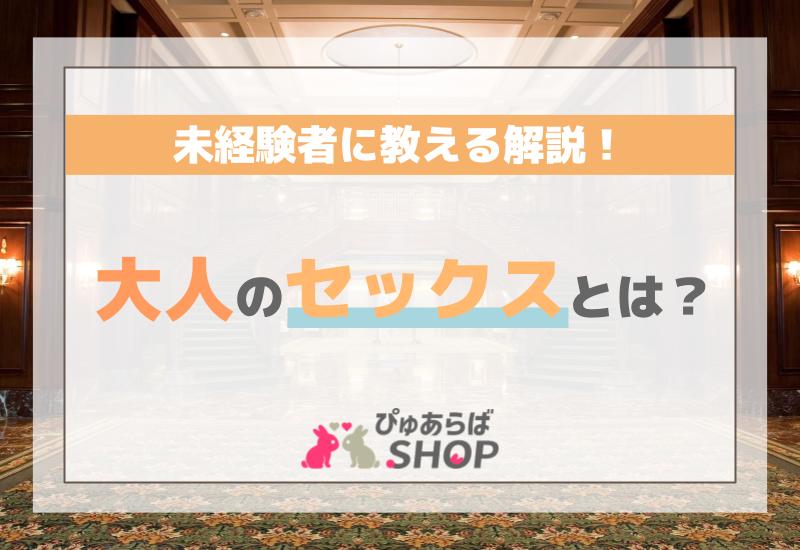 大人のセックスとは？未経験者に教える解説